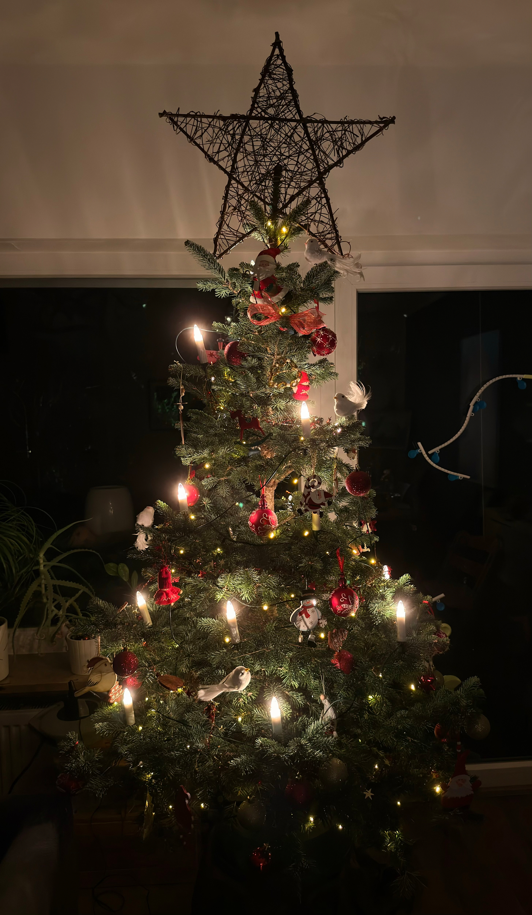 A decorated Christmas tree is adorned with lights, red and white ornaments, and topped with a large star.