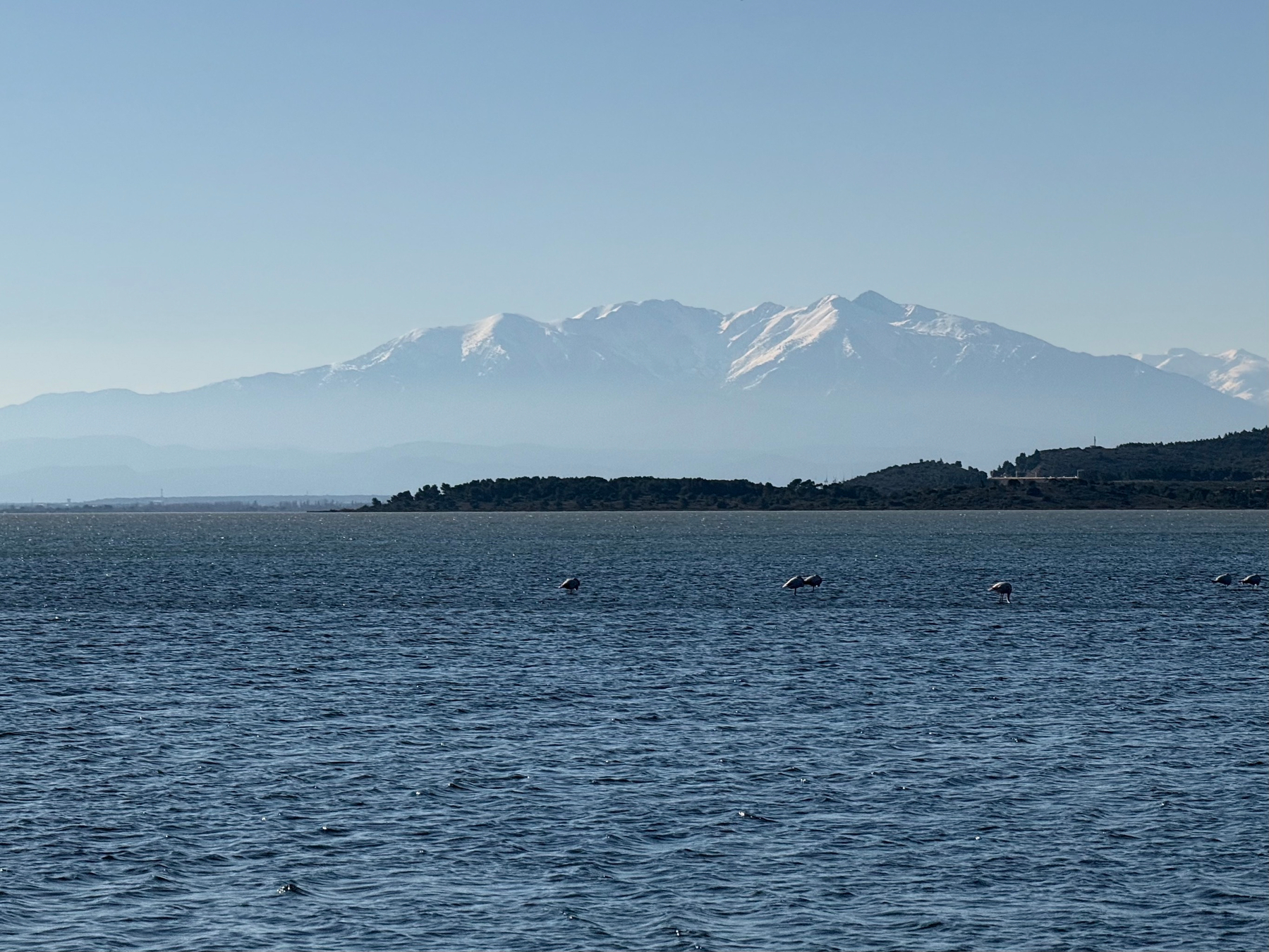 A serene body of water lies in the foreground with a snow-capped mountain range in the background under a clear blue sky. Flamingos are just visible wading in the middle distance