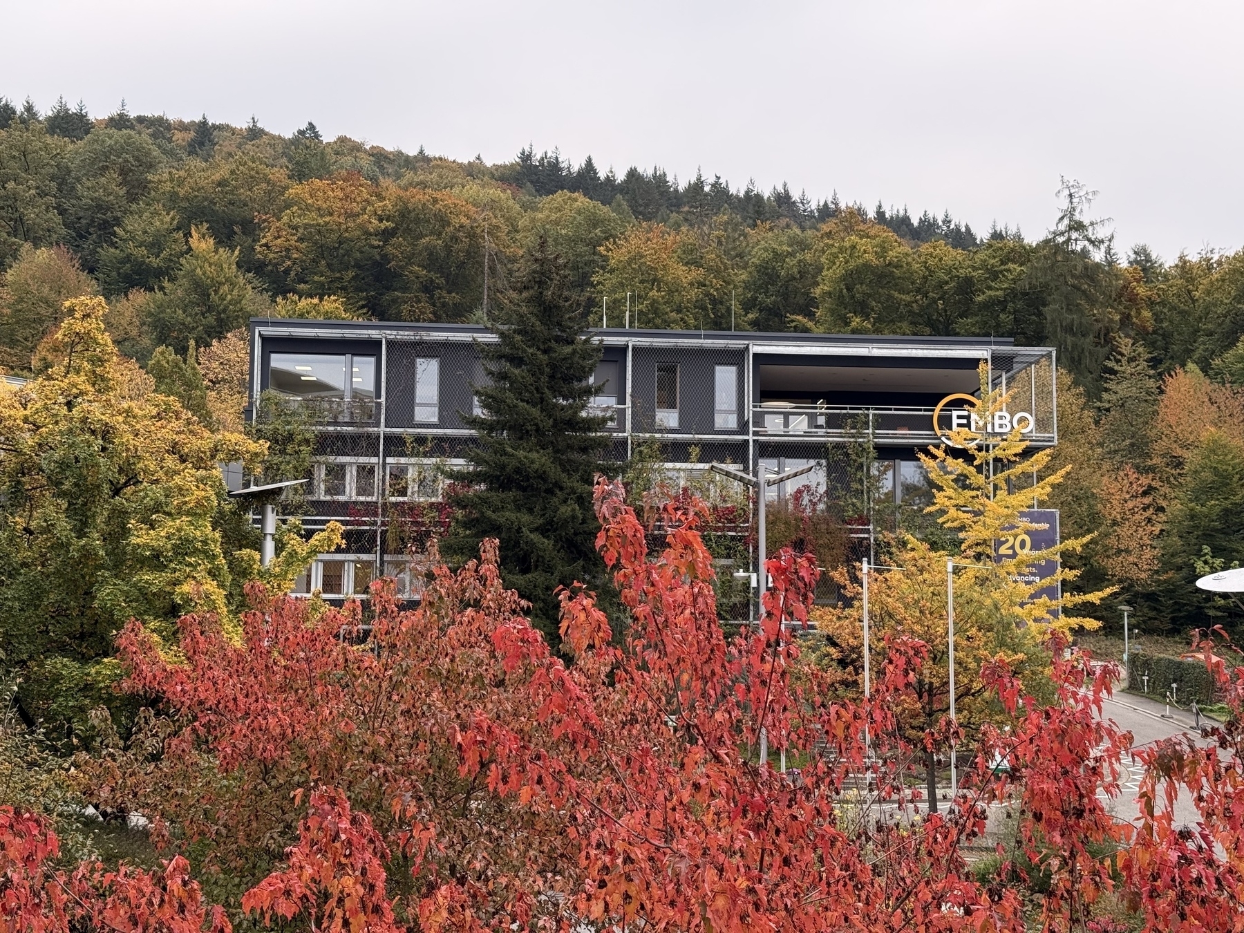 A modern building is set against a backdrop of colorful autumn trees and a forested hill.