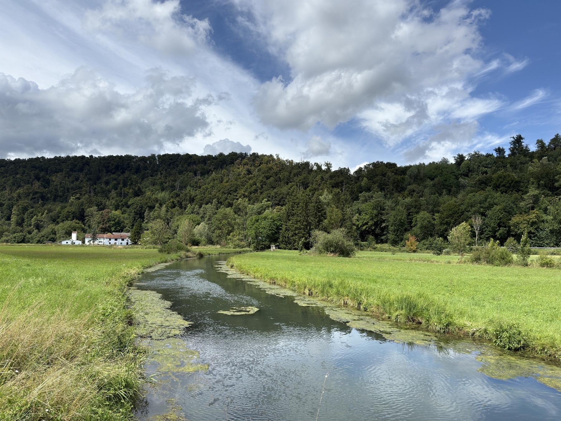 A serene landscape features a meandering stream surrounded by green fields, with a backdrop of trees and a house in the distance under a partly cloudy sky.
