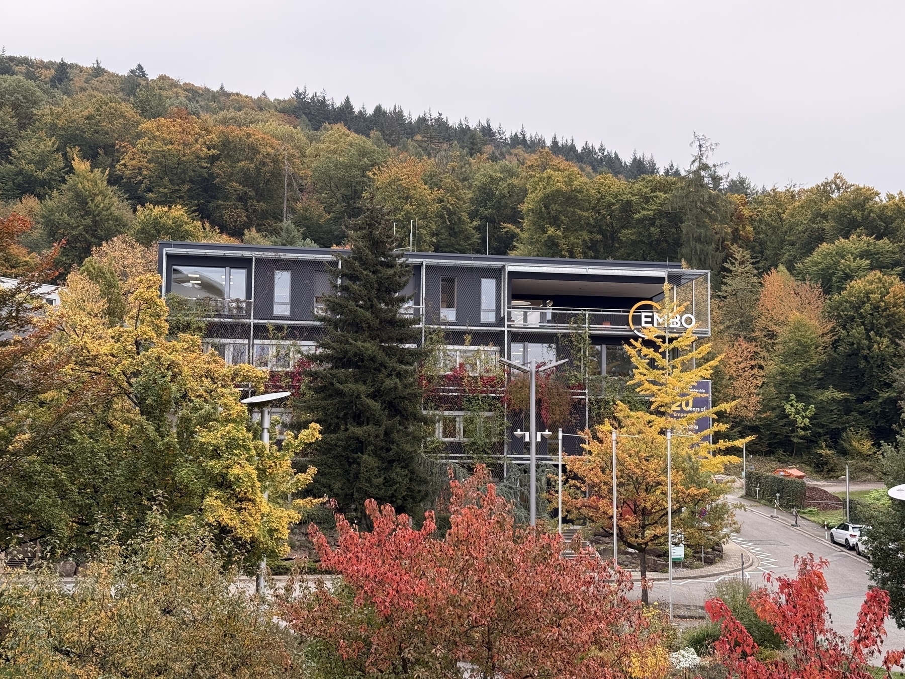 A modern building with the word EMBO on it is surrounded by vibrant autumn foliage and a forested hillside in the background.