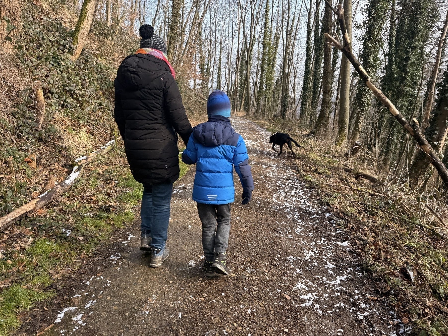 A person and a child in winter clothing walk hand in hand on a forest path with a black dog nearby.