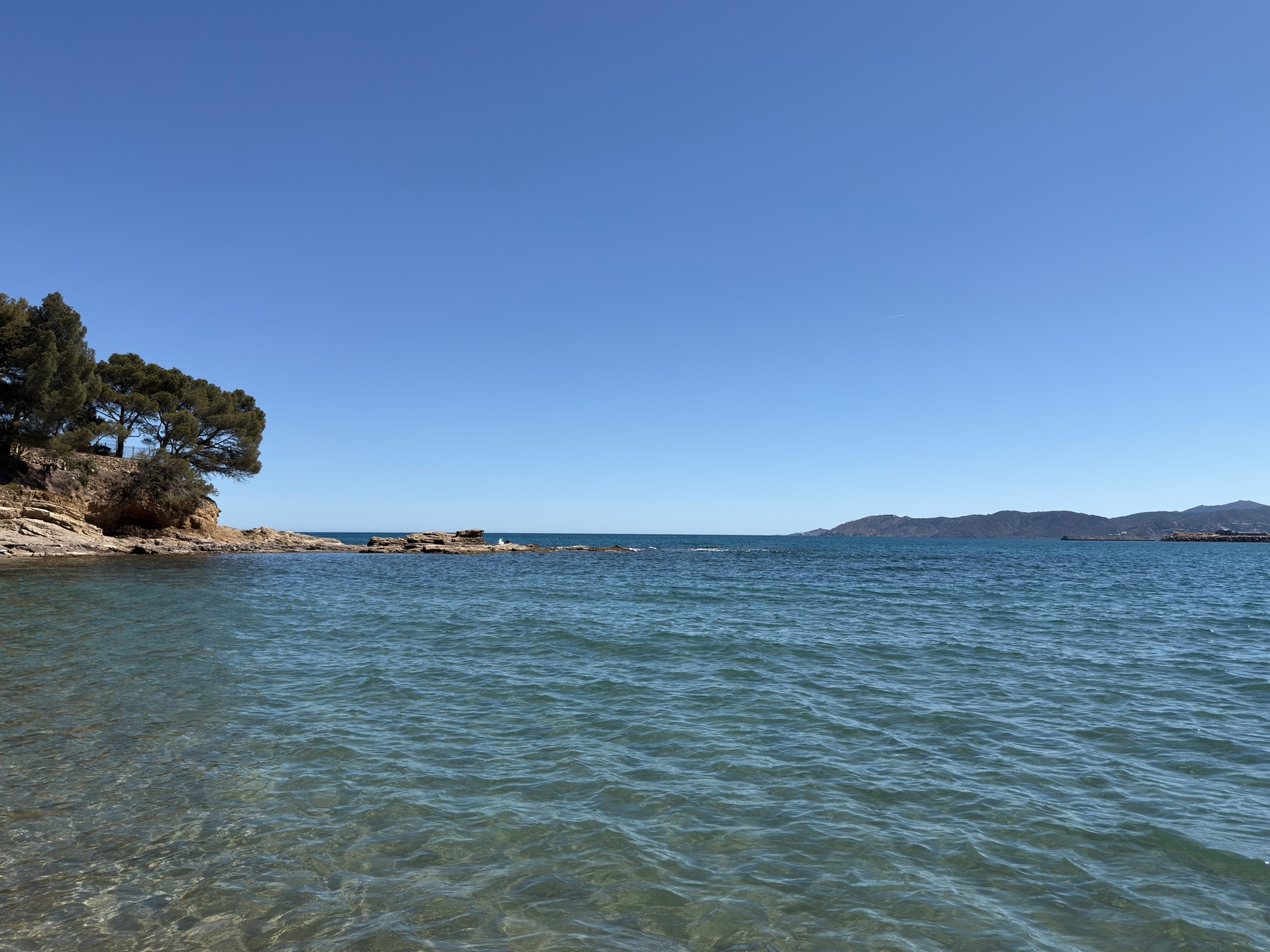 A serene coastal view features clear blue water, rocky shores, and tree-lined edges under a clear sky.