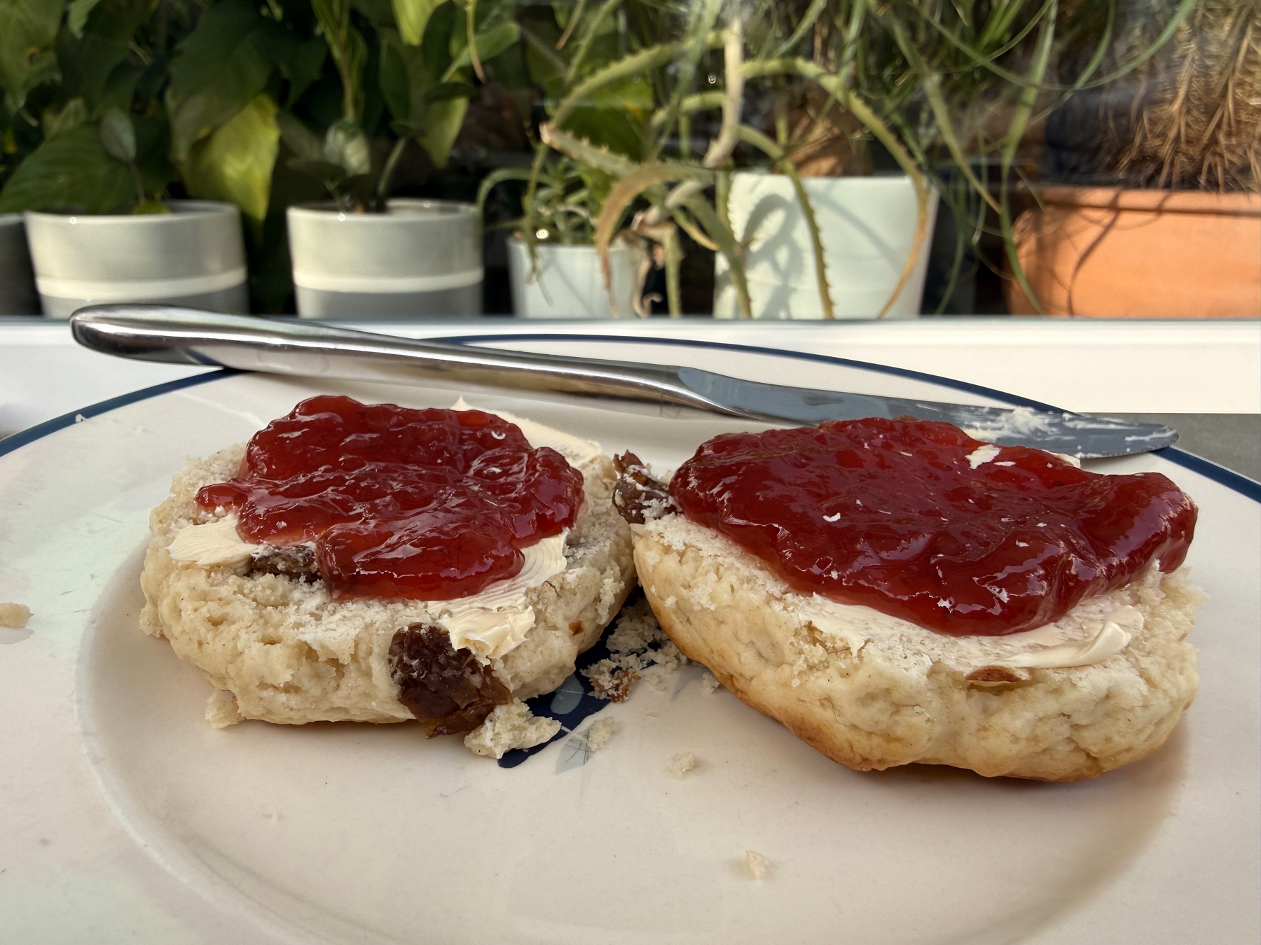 A raisin scone topped with butter and strawberry jam is on a plate, set against a backdrop of potted plants.