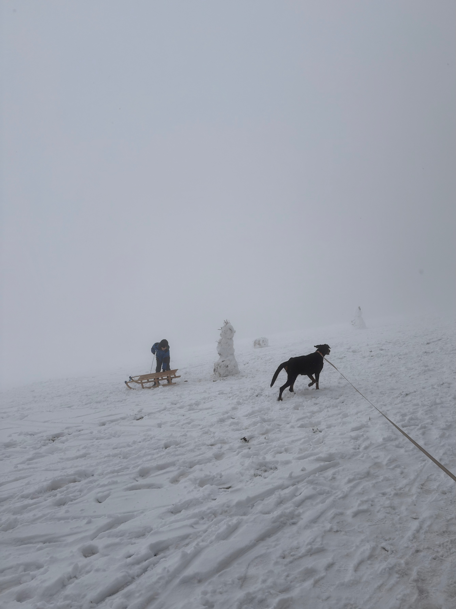 A person stands with a sled on a snowy field while a dog on a leash approaches a snowman.