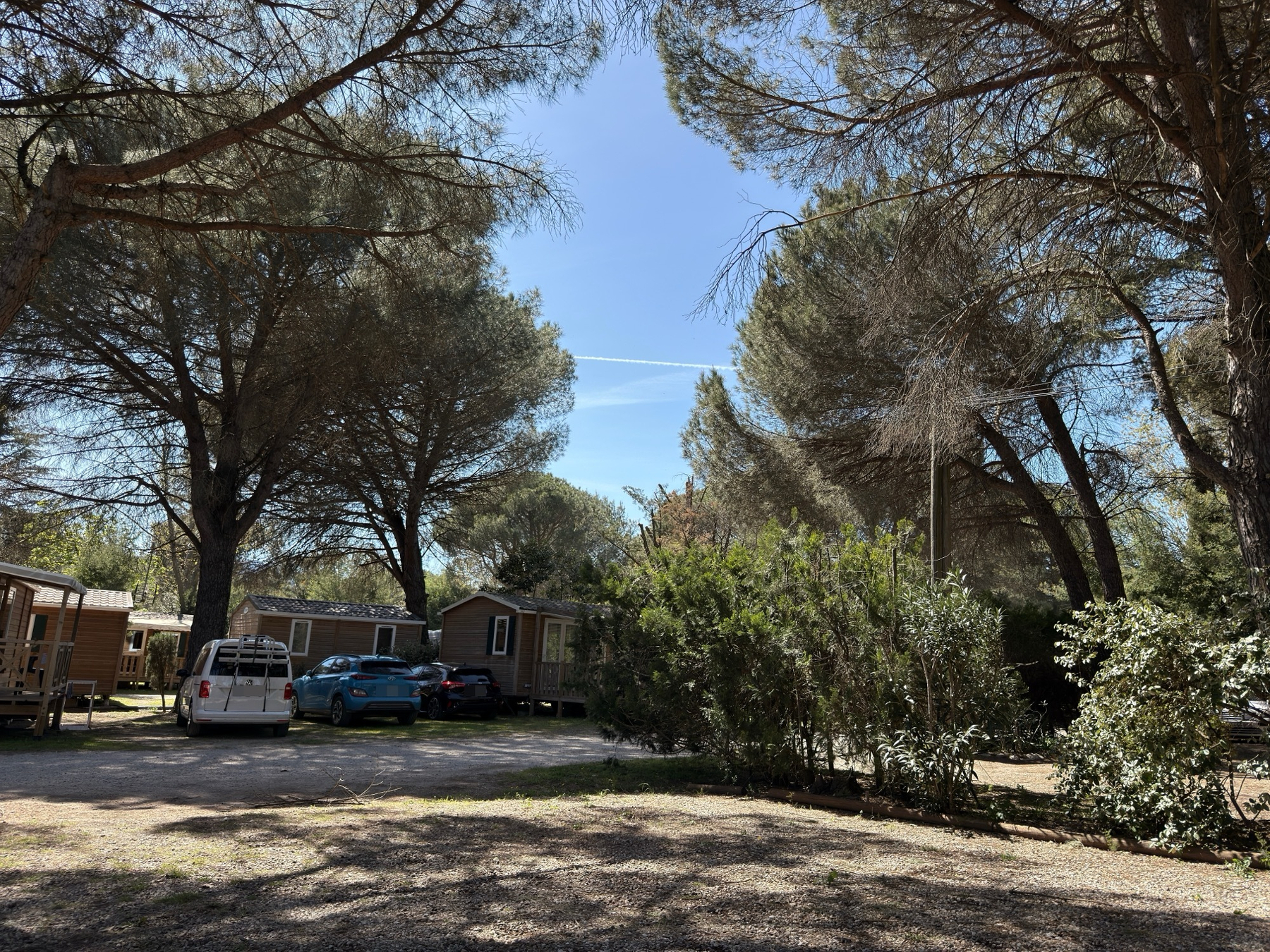 A peaceful campground scene features parked vehicles, several cabins, and tall trees under a clear blue sky.