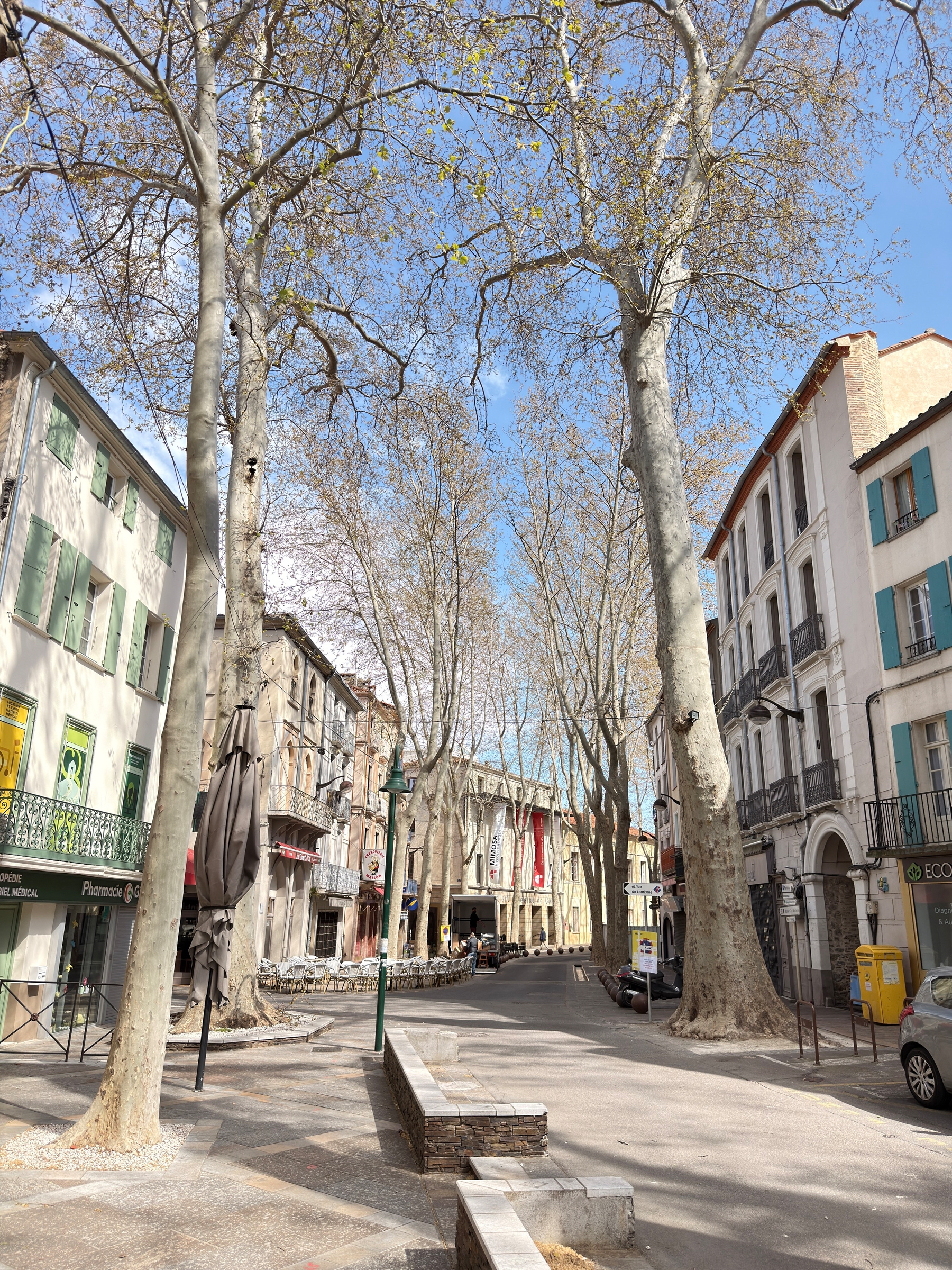 The main street in the French town of Cerét is lined with plane trees with no leaves yet, colorful storefronts, and outdoor seating under a clear blue sky. It’s such a wonderful town with a great market in Saturdays. 